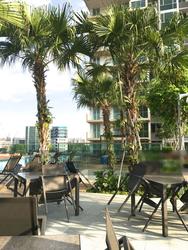 Sennett Residence (D13), Condominium #124914562